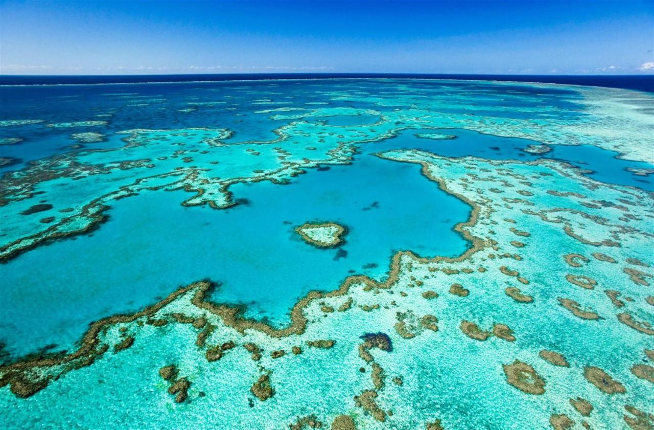 Montipora Unit 3 - In The Heart Of Airlie, Wi-Fi And Netflix Appartement Airlie Beach Buitenkant foto